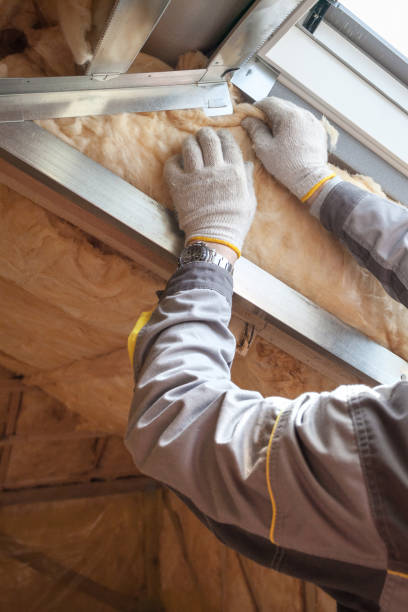 Best Insulation Maintenance and Repair in River Rouge, MI