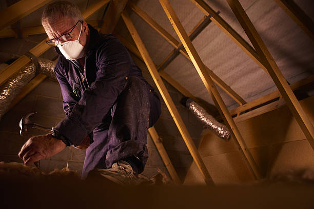 Best Cellulose Insulation in River Rouge, MI