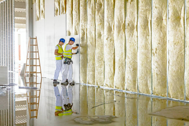 Best Residential Insulation in River Rouge, MI